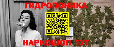 гидропоника Севастополь