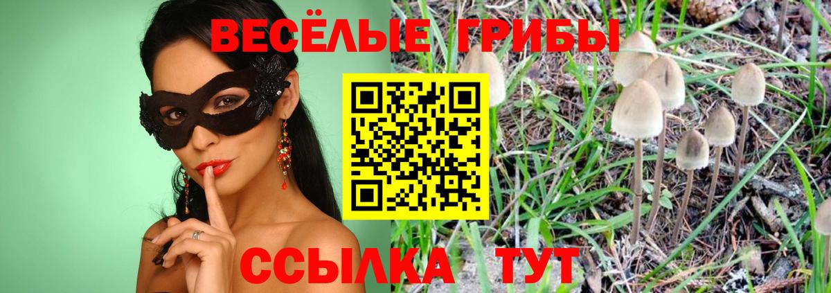Нягань  Галлюциногенные грибы Cubensis  Вход с VPN 